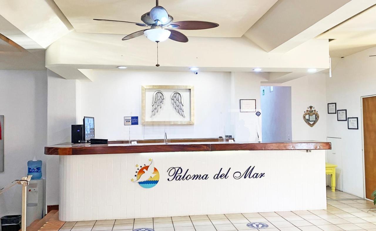 Hotel Paloma del Mar Puerto Vallarta Exterior foto